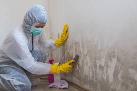 Best Attic Mold Removal  in Hardin, MT